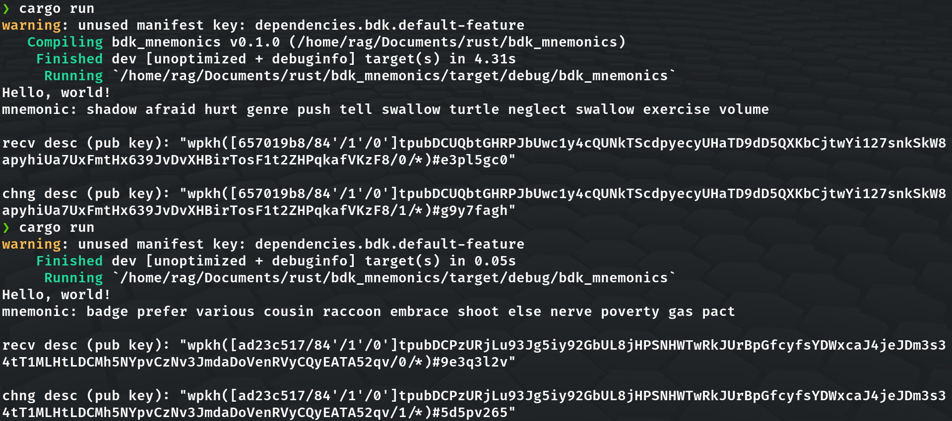 BDK Wallet Descriptors - Red And Green